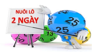 Nuôi Lô Khung 2 Ngày Tại Yo88: Bí Quyết Giành Lợi Nhuận Ổn Định Nuôi Lô Khung 2 Ngày Tại Yo88: Bí Quyết Giành Lợi Nhuận Ổn Định