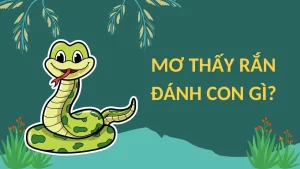 thấy rắn