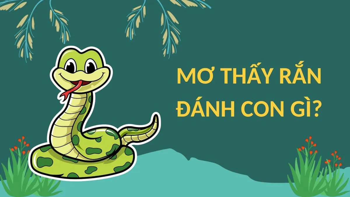 thấy rắn thấy rắn