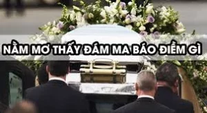 đám ma