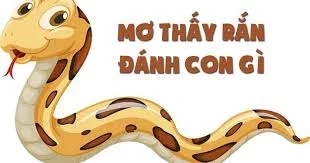 thấy rắn thấy rắn