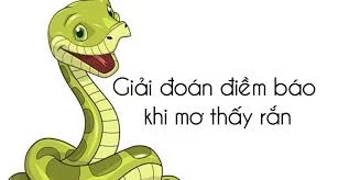 thấy rắn thấy rắn