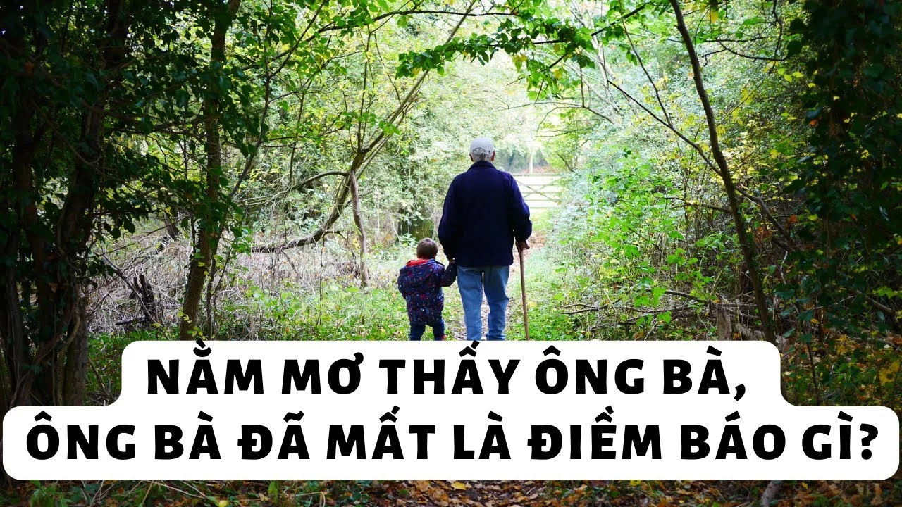 Mơ Thấy Ông Bà Về Tại Yo88: Tâm Linh Gọi Tên Vận May Lô Đề Mơ Thấy Ông Bà Về Tại Yo88: Tâm Linh Gọi Tên Vận May Lô Đề